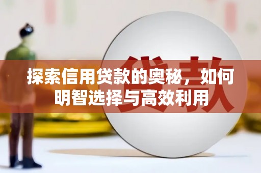 龙泉驿探索信用贷款的奥秘，如何明智选择与高效利用