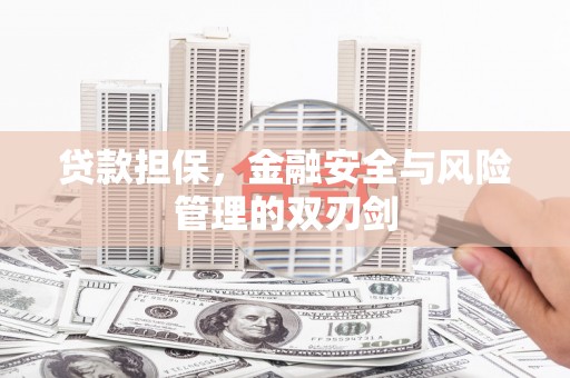 龙泉驿贷款担保，金融安全与风险管理的双刃剑