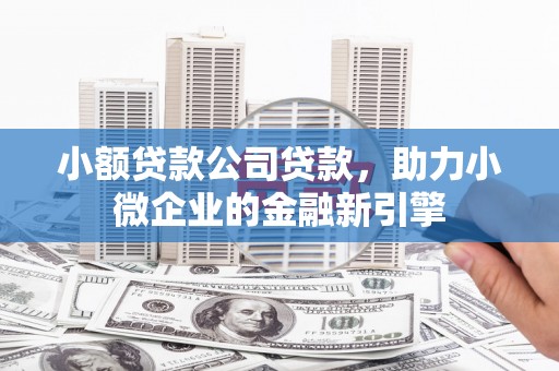 龙泉驿小额贷款公司贷款，助力小微企业的金融新引擎