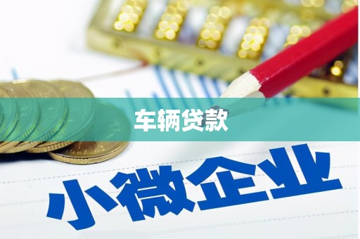 龙泉驿车辆贷款
