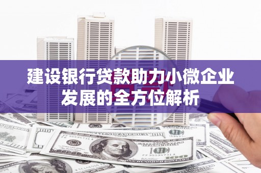 龙泉驿建设银行贷款助力小微企业发展的全方位解析