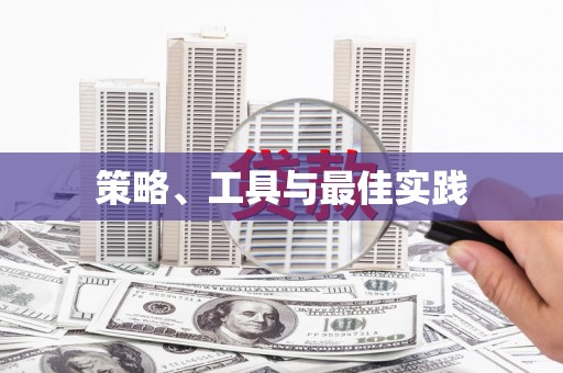龙泉驿策略、工具与最佳实践