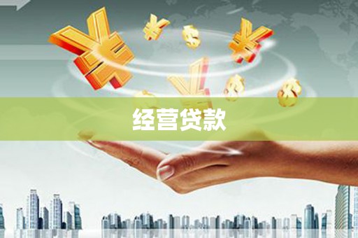 龙泉驿经营贷款