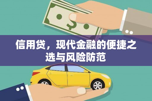 龙泉驿信用贷，现代金融的便捷之选与风险防范