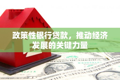 龙泉驿政策性银行贷款，推动经济发展的关键力量