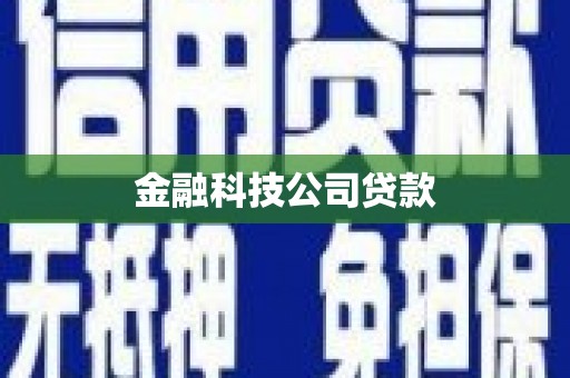 龙泉驿金融科技公司贷款