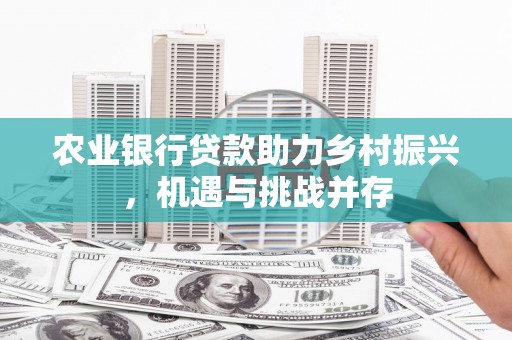 龙泉驿农业银行贷款助力乡村振兴，机遇与挑战并存