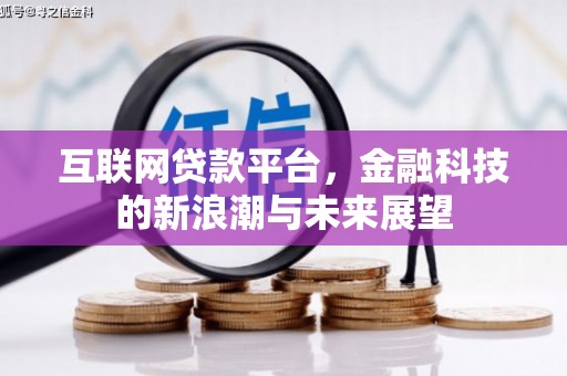 龙泉驿互联网贷款平台，金融科技的新浪潮与未来展望