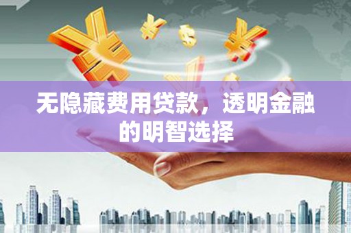 龙泉驿无隐藏费用贷款，透明金融的明智选择