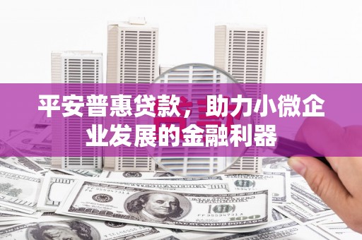 龙泉驿平安普惠贷款，助力小微企业发展的金融利器