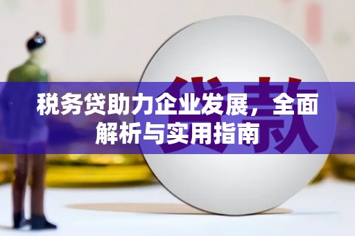 龙泉驿税务贷助力企业发展，全面解析与实用指南