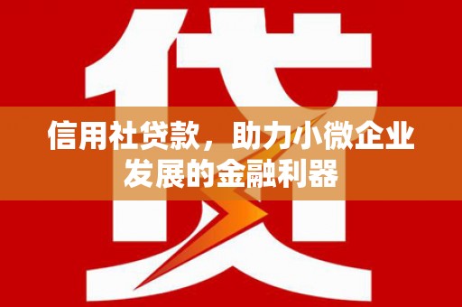 龙泉驿信用社贷款，助力小微企业发展的金融利器