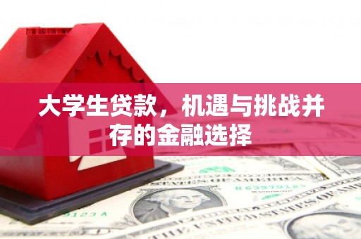 龙泉驿大学生贷款，机遇与挑战并存的金融选择