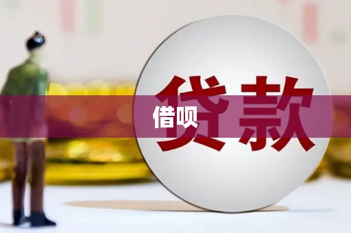 龙泉驿借呗