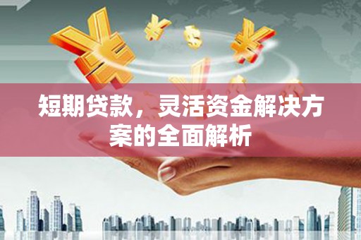 龙泉驿短期贷款，灵活资金解决方案的全面解析