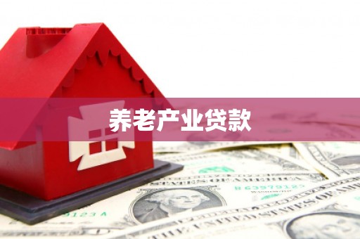 龙泉驿养老产业贷款