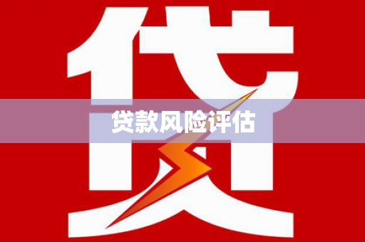 龙泉驿贷款风险评估