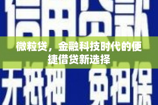 龙泉驿微粒贷，金融科技时代的便捷借贷新选择