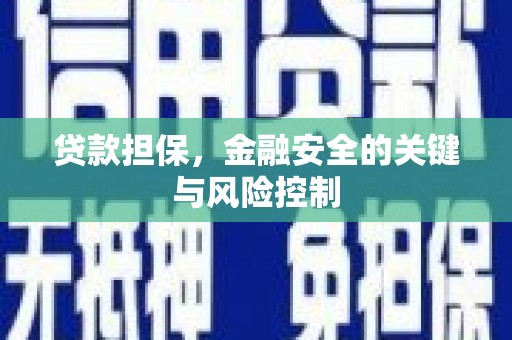 龙泉驿贷款担保，金融安全的关键与风险控制