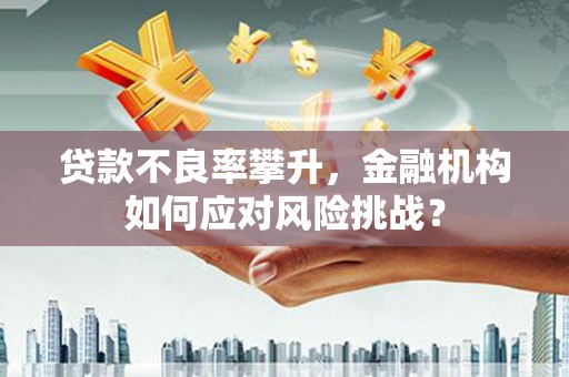 龙泉驿贷款不良率攀升，金融机构如何应对风险挑战？