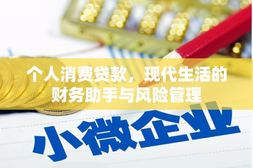 龙泉驿个人消费贷款，现代生活的财务助手与风险管理