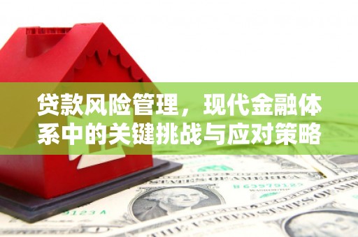 龙泉驿贷款风险管理，现代金融体系中的关键挑战与应对策略