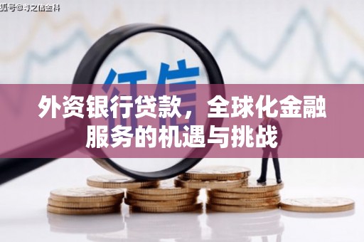 龙泉驿外资银行贷款，全球化金融服务的机遇与挑战