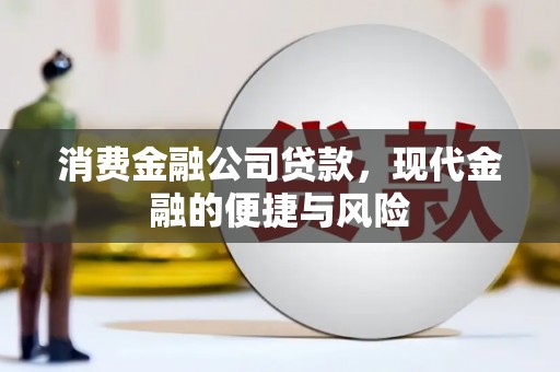 龙泉驿消费金融公司贷款，现代金融的便捷与风险
