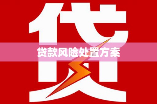 龙泉驿贷款风险处置方案