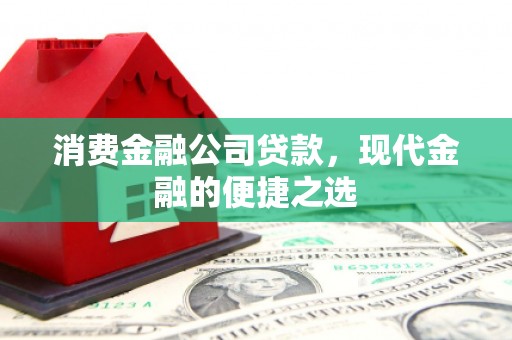 龙泉驿消费金融公司贷款，现代金融的便捷之选