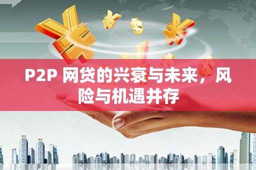 龙泉驿P2P 网贷的兴衰与未来，风险与机遇并存