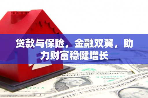 龙泉驿贷款与保险，金融双翼，助力财富稳健增长