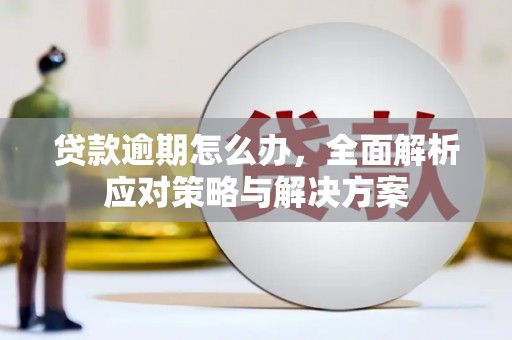 龙泉驿贷款逾期怎么办，全面解析应对策略与解决方案