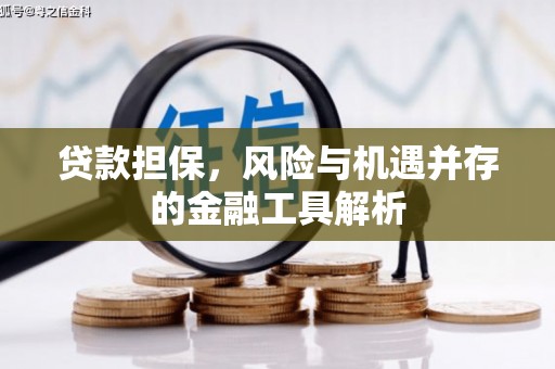 龙泉驿贷款担保，风险与机遇并存的金融工具解析