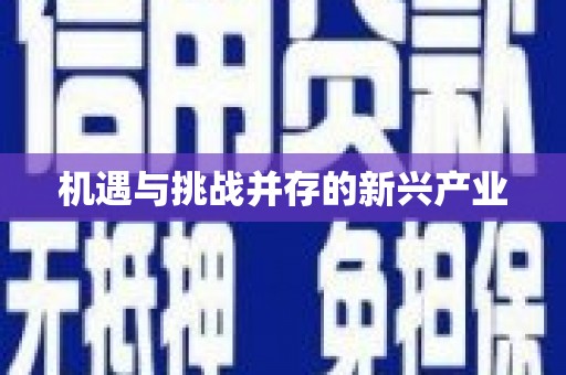 龙泉驿机遇与挑战并存的新兴产业