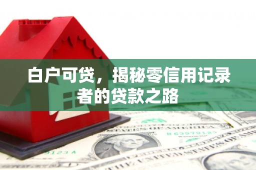 龙泉驿白户可贷，揭秘零信用记录者的贷款之路
