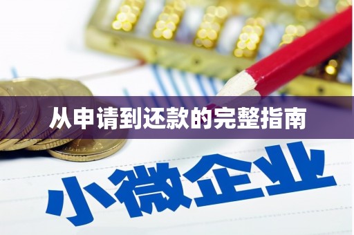 龙泉驿从申请到还款的完整指南
