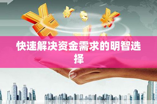 龙泉驿快速解决资金需求的明智选择