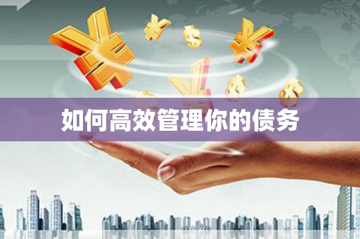 龙泉驿如何高效管理你的债务