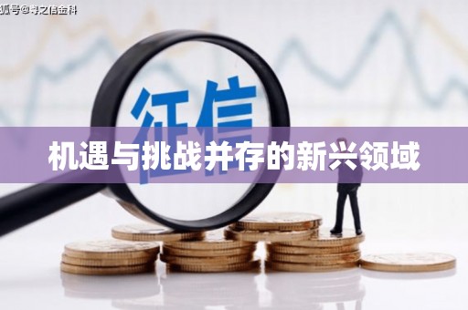 龙泉驿机遇与挑战并存的新兴领域