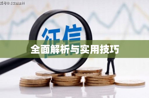 龙泉驿全面解析与实用技巧 龙泉驿全面解析与实用技巧