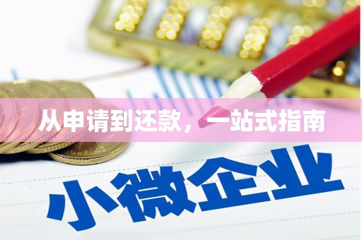 龙泉驿从申请到还款，一站式指南
