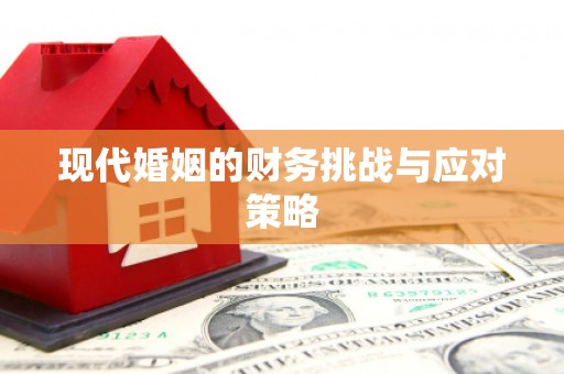 龙泉驿现代婚姻的财务挑战与应对策略