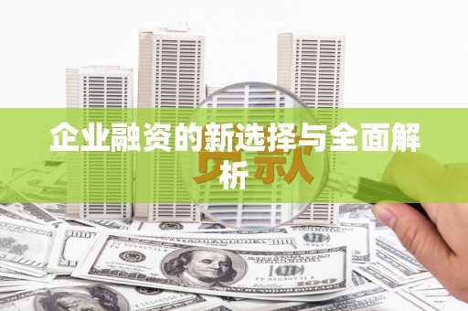 龙泉驿企业融资的新选择与全面解析