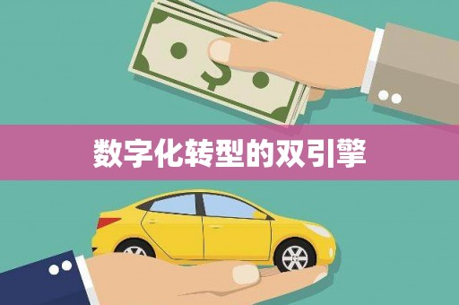 龙泉驿数字化转型的双引擎