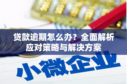 龙泉驿贷款逾期怎么办？全面解析应对策略与解决方案