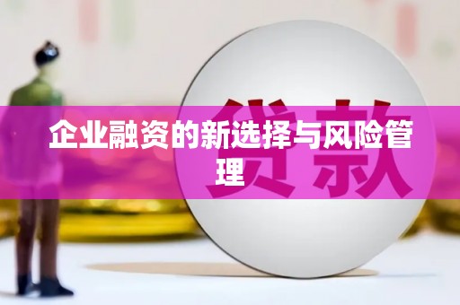 龙泉驿企业融资的新选择与风险管理
