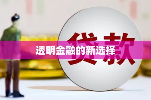 龙泉驿透明金融的新选择