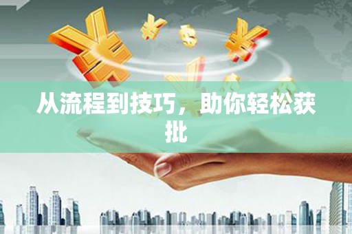 龙泉驿从流程到技巧，助你轻松获批