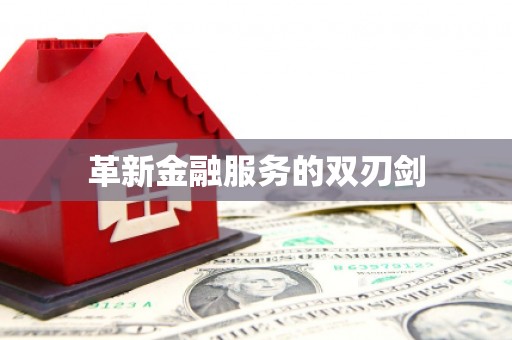 龙泉驿革新金融服务的双刃剑